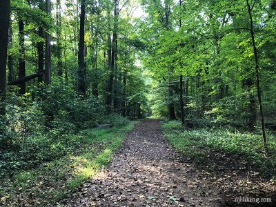 Institute Woods, Rogers Refuge, Princeton Battlefield | njHiking.com