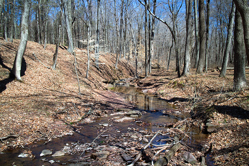 Washington Crossing State Park | njHiking.com