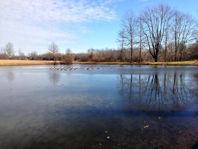 Pond at Sourland