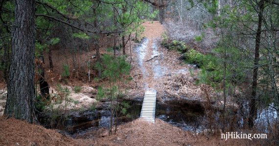 Wooden bridge over a stream with pine forest surrounding it.