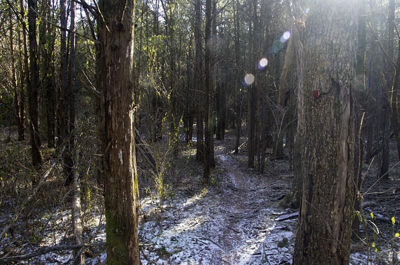 Six Mile Run Reservoir – Red Trail | njHiking.com