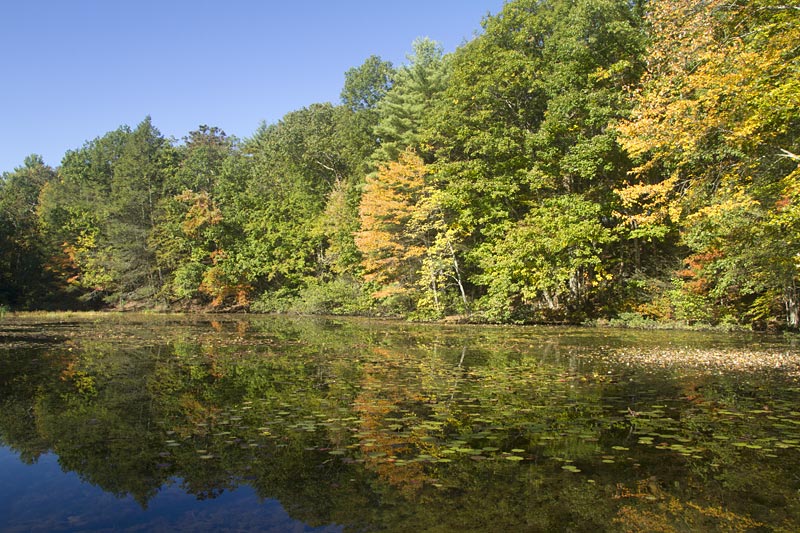 Mt. Minsi and Arrow Island | njHiking.com