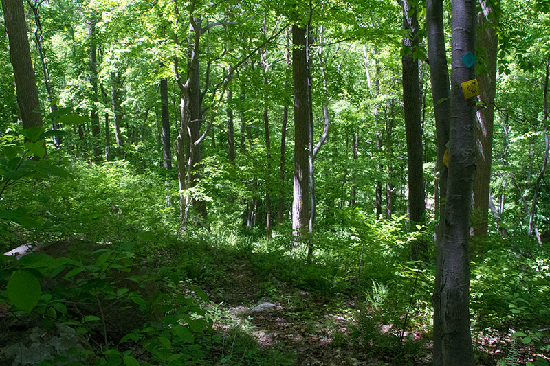 Musconetcong Gorge Preserve | njHiking.com