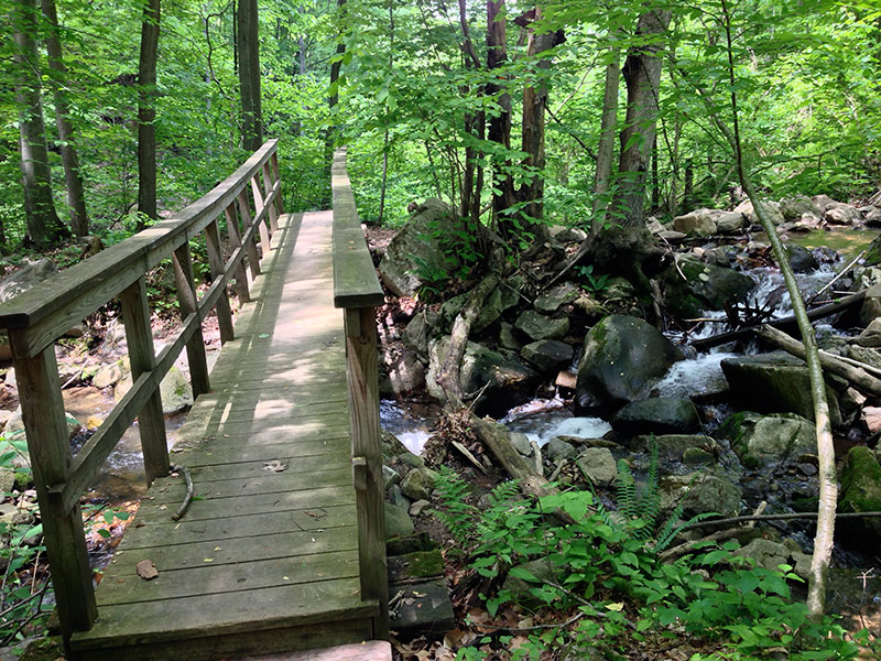 Musconetcong Gorge Preserve | njHiking.com