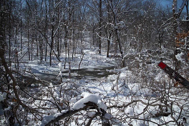 Six Mile Run Reservoir – Red Trail | njHiking.com