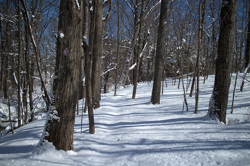 Six Mile Run Reservoir – Red Trail | njHiking.com