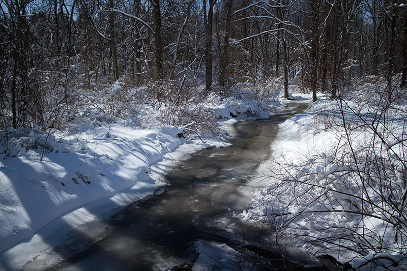 Six Mile Run Reservoir – Red Trail | njHiking.com