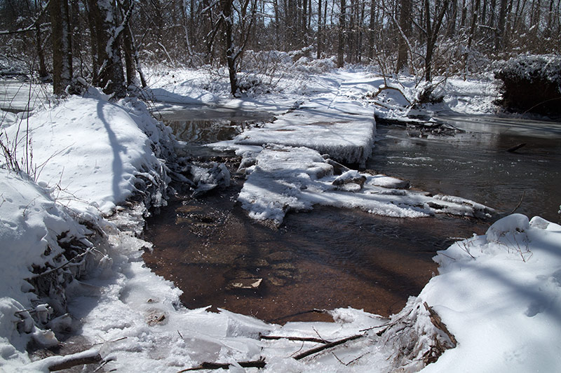 Six Mile Run Reservoir – Red Trail | njHiking.com