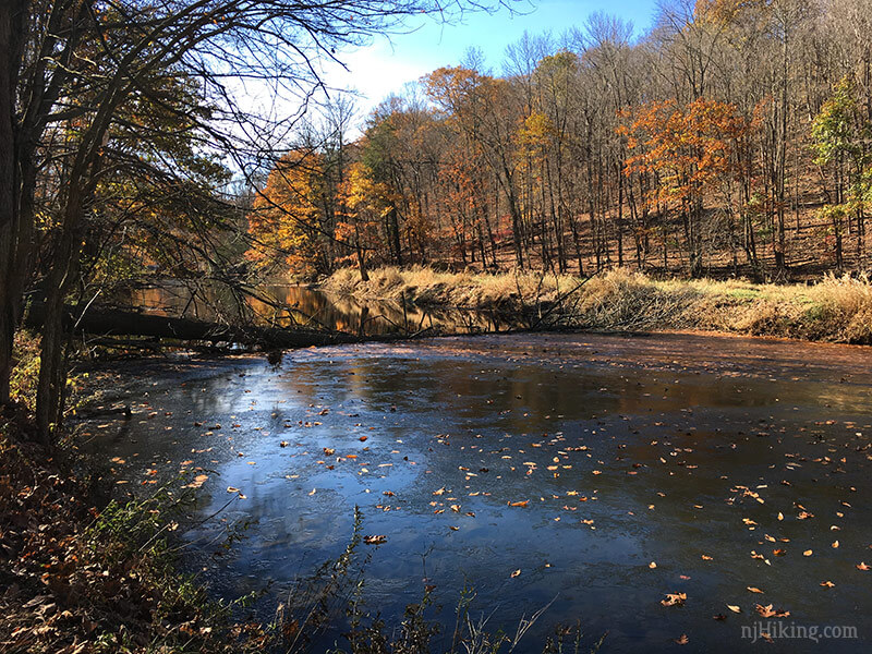 Washington Valley Park 