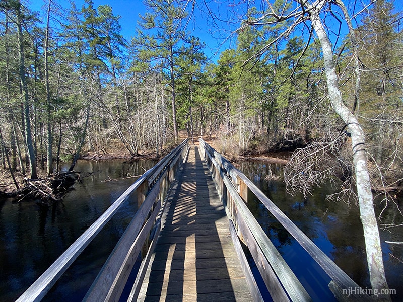 Tom’s Pond Trail – Wharton State Forest | njHiking.com