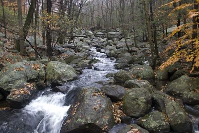 Stony Brook