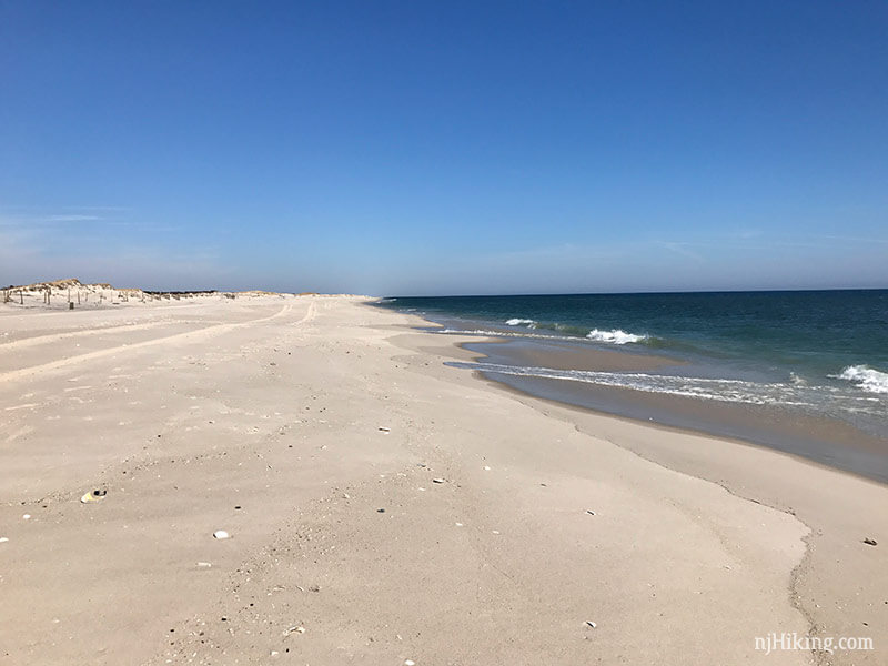 Island Beach State Park | njHiking.com