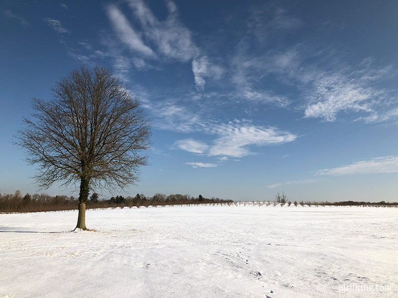 Monmouth Battlefield | njHiking.com