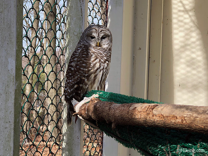 Tenafly Nature Center and Lost Brook Preserve | njHiking.com