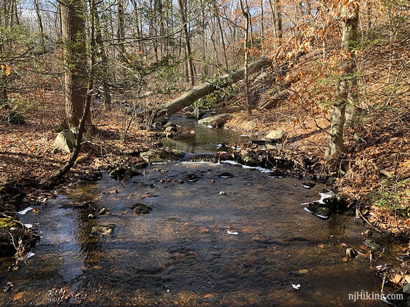 Tourne County Park | njHiking.com