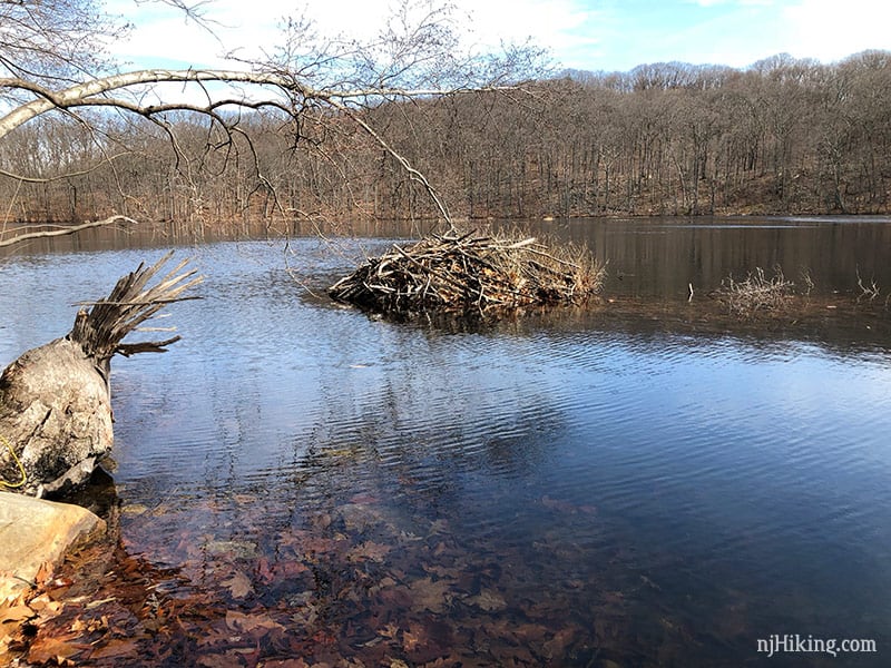 Tourne County Park | njHiking.com