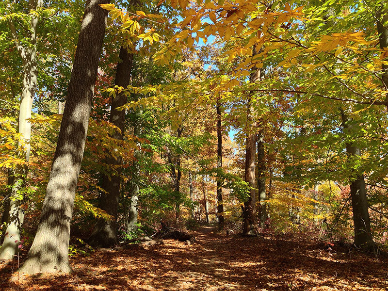 Helyar Woods at Rutgers Gardens | njHiking.com