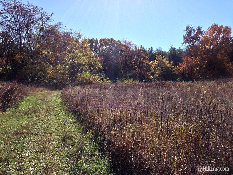 Helyar Woods at Rutgers Gardens | njHiking.com