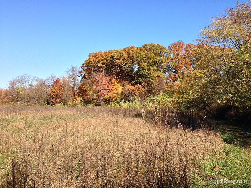 Helyar Woods at Rutgers Gardens | njHiking.com