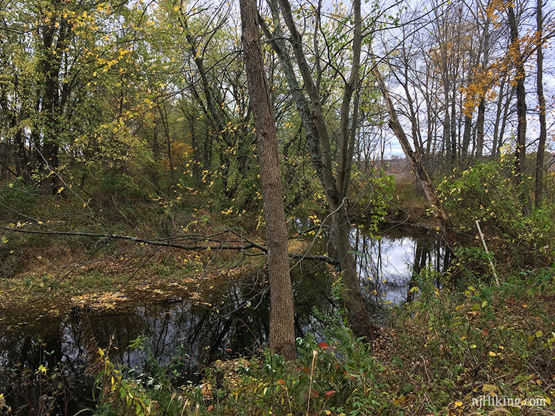 Wallkill River National Wildlife Refuge | njHiking.com