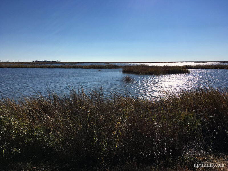 Commercial Township Wetlands | njHiking.com