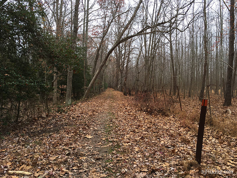 allaire state park bike trail map