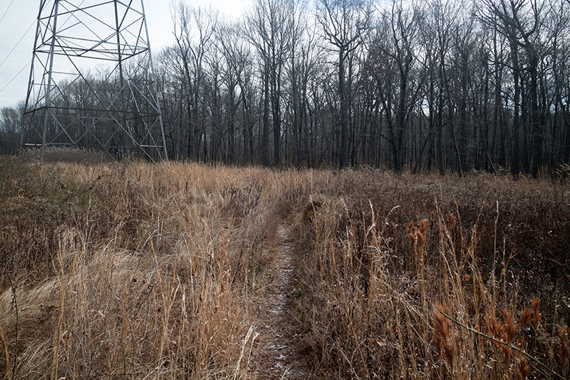 Mercer County Park | njHiking.com