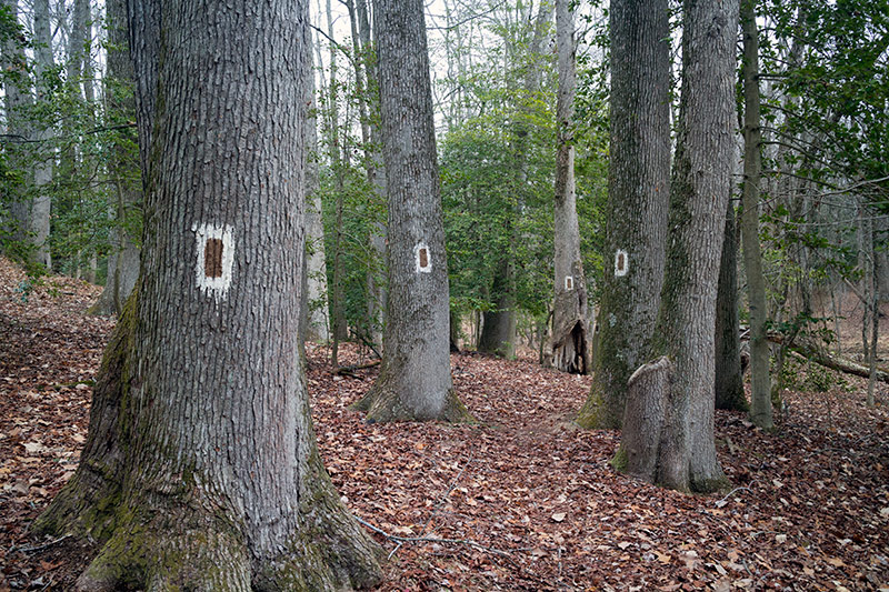 Rancocas Nature Center | njHiking.com