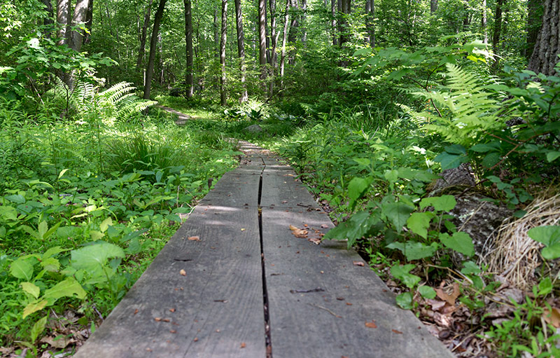 Hiking Deer Park Pond | njHiking.com