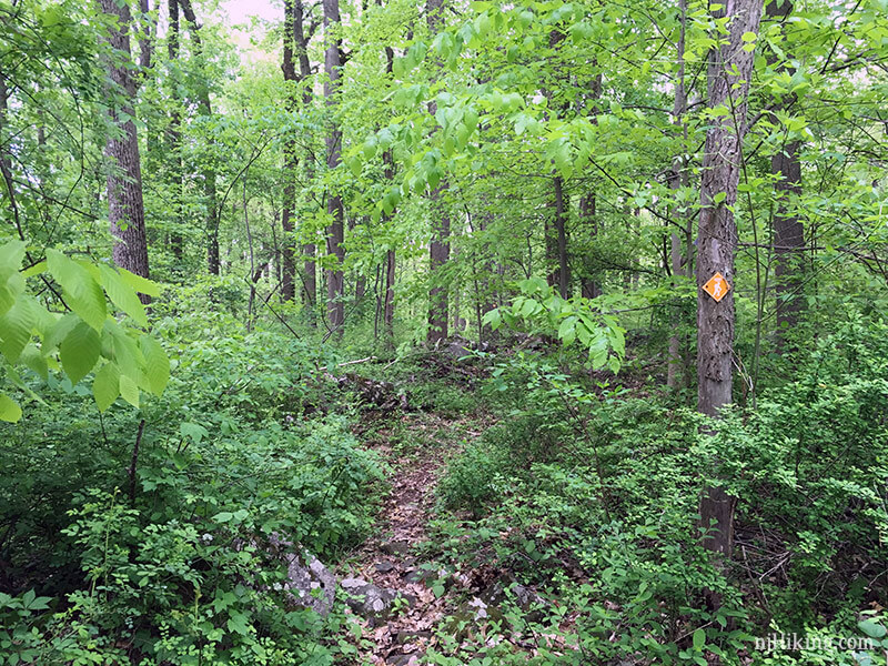 Griggstown Native Grassland Preserve | njHiking.com