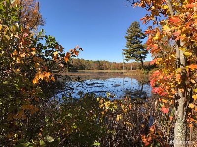 Kittatinny Valley State Park 