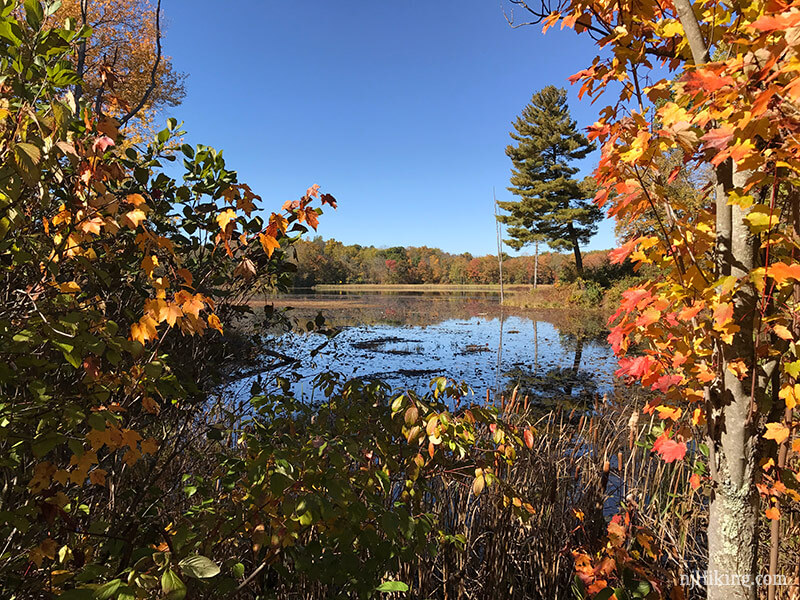 Kittatinny Valley State Park | njHiking.com