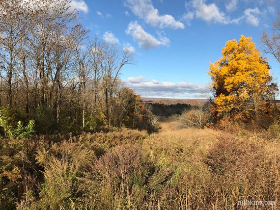 Wallkill Valley with the Kittatinny Ridge in the distance.