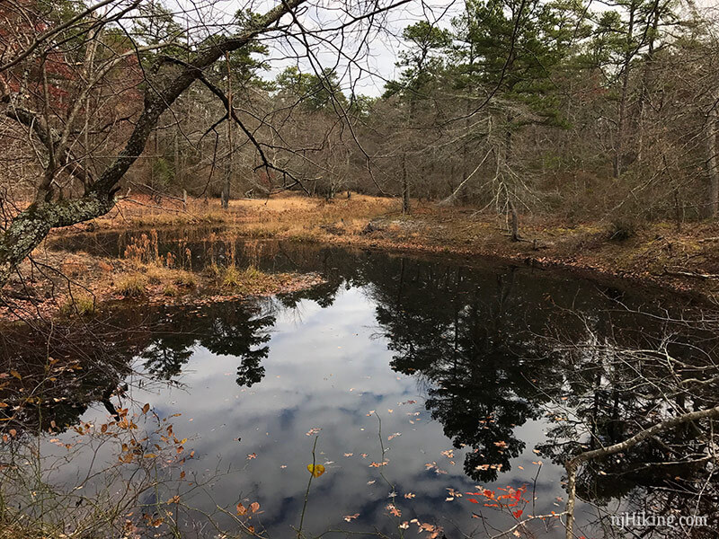 Allaire State Park | njHiking.com