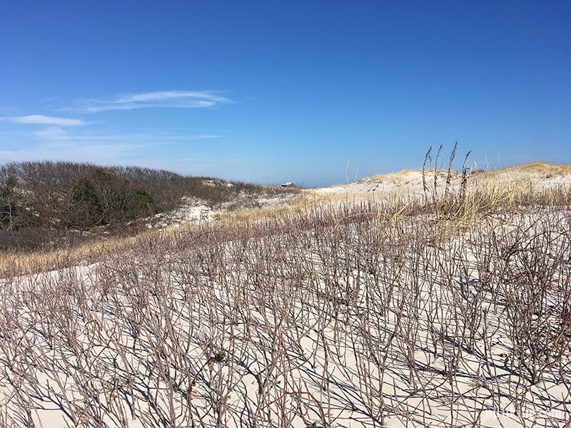 Island Beach State Park