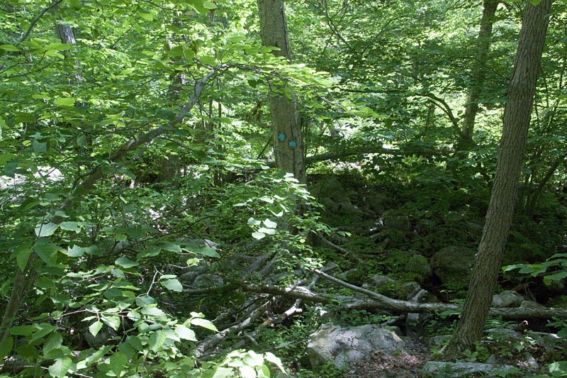 Mahlon Dickerson - Headley Overlook | njHiking.com