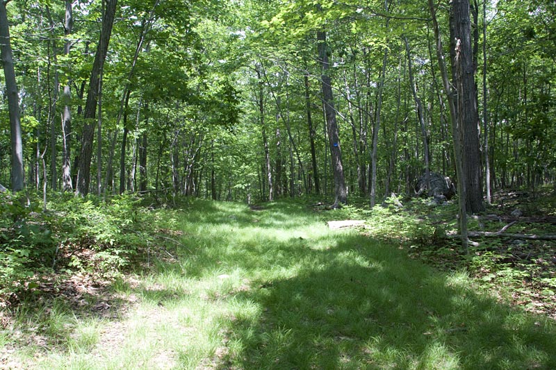 Mahlon Dickerson - Headley Overlook | njHiking.com