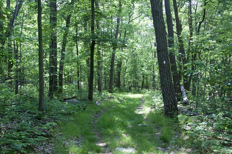 Mahlon Dickerson - Headley Overlook | njHiking.com