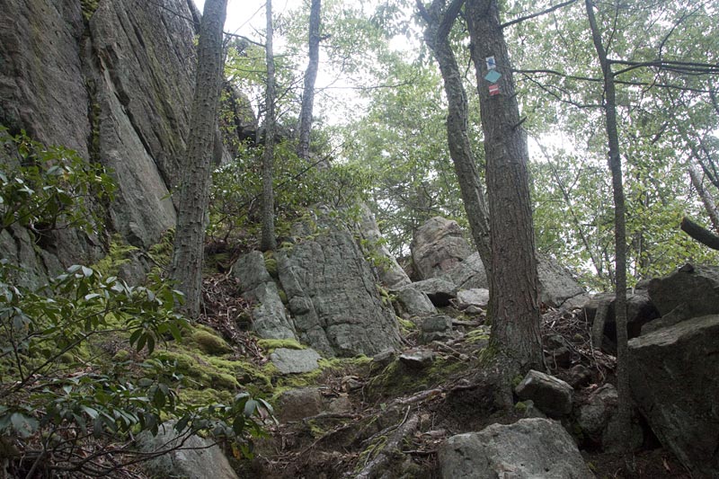 Bare Rock and Sterling Fire Tower in Summer | njHiking.com