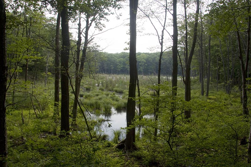 Mahlon Dickerson - Headley Overlook | njHiking.com