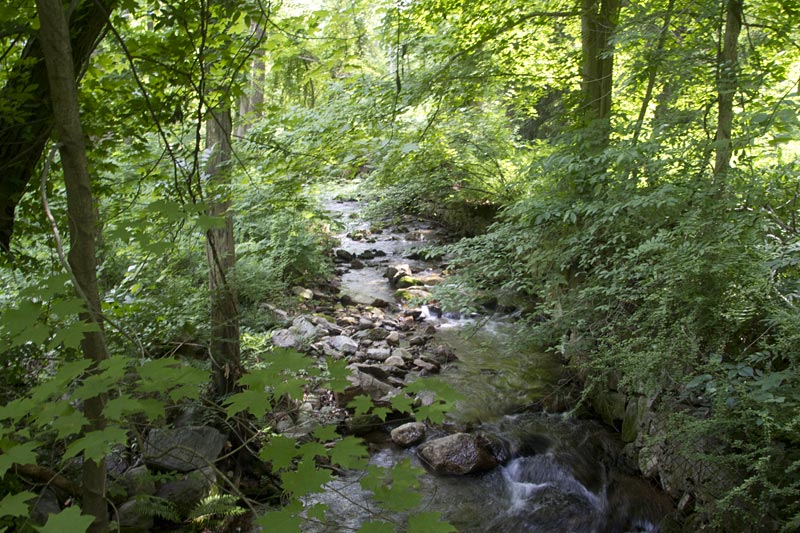 West Mountain, The Timp, Doodletown | njHiking.com