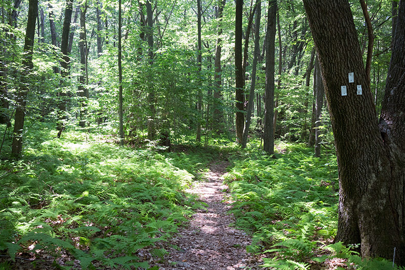 Stephens State Park | njHiking.com