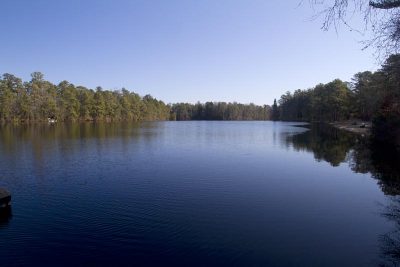 Belleplain State Forest | njHiking.com