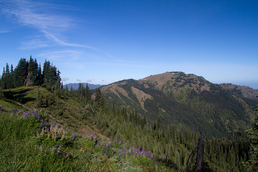 High ridge trail 2024 olympic national park