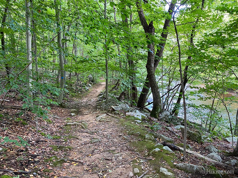 Point Mountain Reservation | njHiking.com