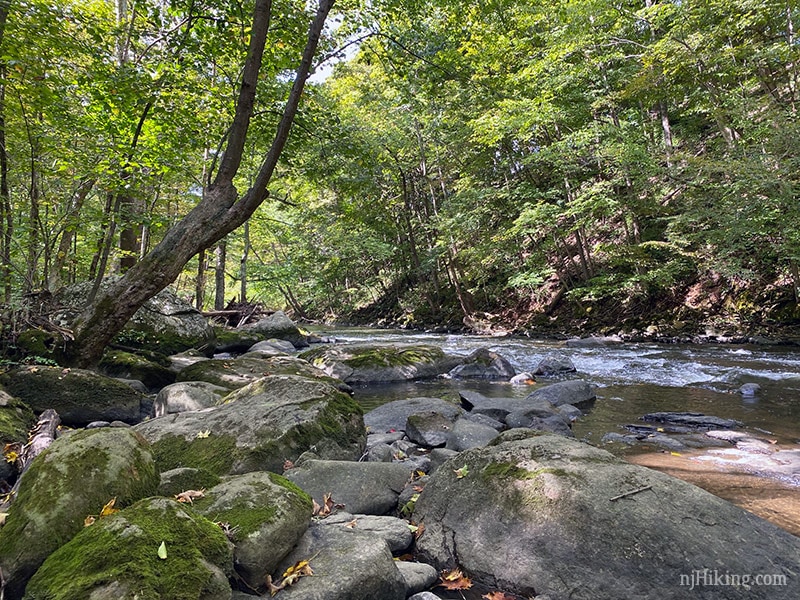 Point Mountain Reservation | njHiking.com