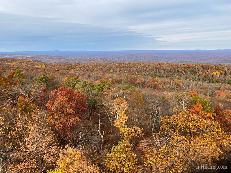 Catfish Fire Tower – Appalachian Trail | njHiking.com