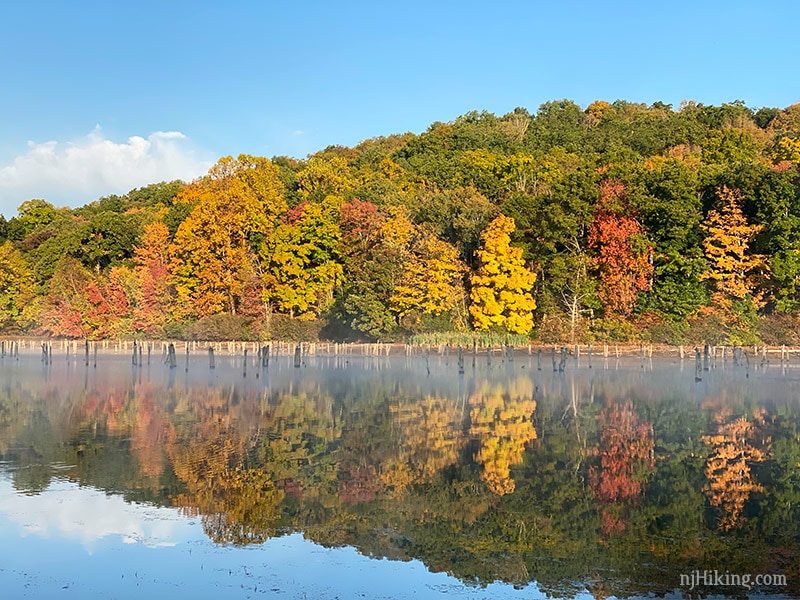 New Jersey Fall Foliage