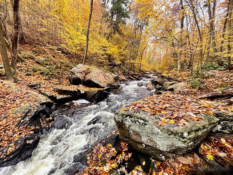 Black River County Park – Cooper Mill | njHiking.com