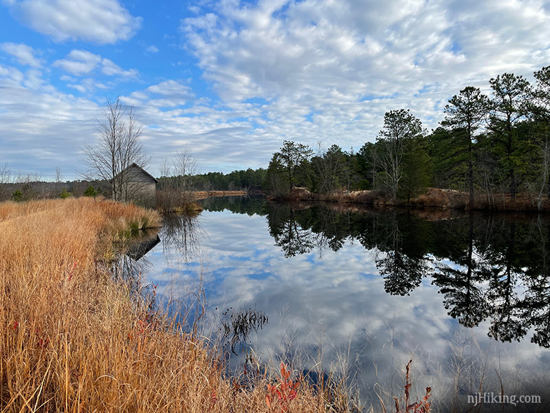 Franklin Parker Preserve | njHiking.com